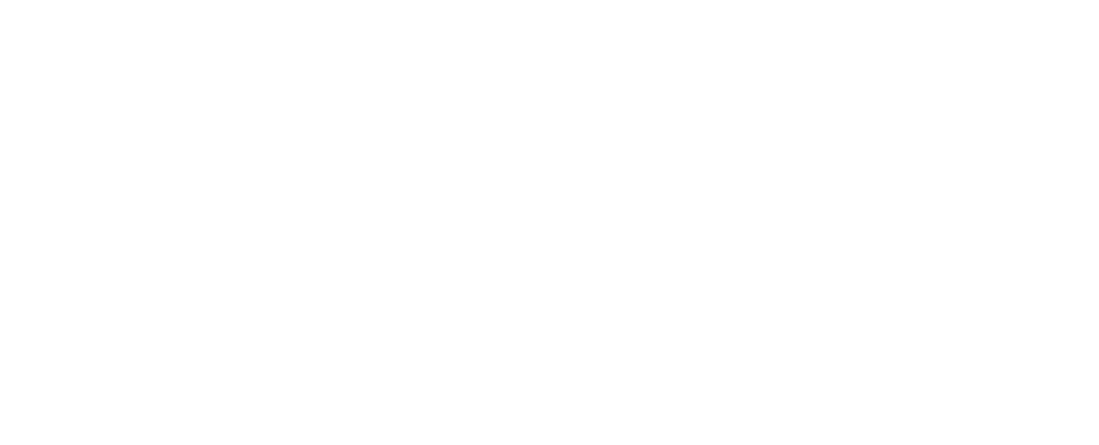 CAJU BRASIL EXPORTACAO